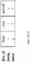Fig. 22 - APPARATUS AND METHOD FOR FORMING PIVOT TABLES FROM PIVOT FRAMES