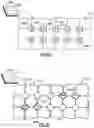 Fig. 05 - Apparatus having hybrid monochrome and color image sensor array