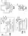 Fig. 06 - Apparatus having hybrid monochrome and color image sensor array