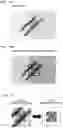 Fig. 14 - Optical information reading device