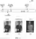 Fig. 04 - Authentication of RGB video based on infrared and depth sensing