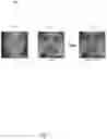 Fig. 06 - RGB-NIR dual camera face anti-spoofing method