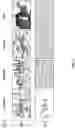 Fig. 04 - Blur classification and blur map estimation