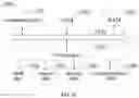 Fig. 10 - PROCESSING METHOD FOR QUANTUM CIRCUIT, ELECTRONIC DEVICE, AND STORAGE MEDIUM