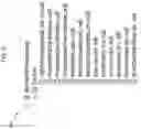 Fig. 07 - INSURANCE RISK MANAGEMENT SYSTEMS AND METHODS