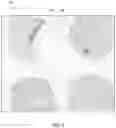 Fig. 07 - Image analysis in pathology