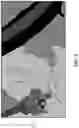 Fig. 08 - System and methods for correcting terrain elevations under forest canopy
