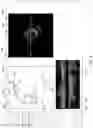 Fig. 08 - Systems and methods for vascular image co-registration