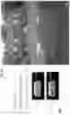 Fig. 37 - IMAGE ANALYSIS