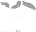Fig. 05 - Method for direct manipulation and visualization of the 3D internal structures of a tubular object as they are in reality without any noticeable distortion