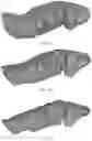 Fig. 06 - Method for direct manipulation and visualization of the 3D internal structures of a tubular object as they are in reality without any noticeable distortion