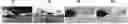 Fig. 01 - System and method for training a model to perform semantic segmentation on low visibility images using high visibility images having a close camera view