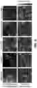Fig. 08 - Training data generation with generative modeling