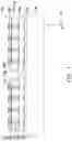 Fig. 02 - Package structure and manufacturing method thereof