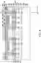 Fig. 11 - Package structure and manufacturing method thereof
