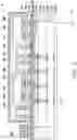 Fig. 19 - Package structure and manufacturing method thereof