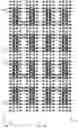 Fig. 08 - Thin film transistor random access memory