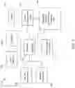 Fig. 02 - Background image adjustment in virtual meeting