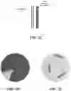 Fig. 05 - SYSTEMS AND METHODS FOR MEDICAL IMAGING