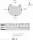 Fig. 15 - SYSTEMS AND METHODS FOR MEDICAL IMAGING