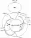 Fig. 17 - HEART VALVE DOCKING COILS AND SYSTEMS