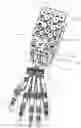 Fig. 01 - DEXTEROUS HAND