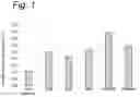 Fig. 02 - Composition comprising EPA, MA and leucine for improving muscle function