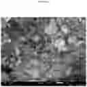 Fig. 07 - Molybdenum-vanadium-beryllium-based oxidative dehydrogenation catalyst materials