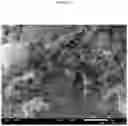 Fig. 08 - Molybdenum-vanadium-beryllium-based oxidative dehydrogenation catalyst materials