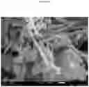 Fig. 09 - Molybdenum-vanadium-beryllium-based oxidative dehydrogenation catalyst materials