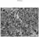 Fig. 11 - Molybdenum-vanadium-beryllium-based oxidative dehydrogenation catalyst materials