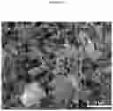 Fig. 12 - Molybdenum-vanadium-beryllium-based oxidative dehydrogenation catalyst materials