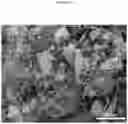 Fig. 13 - Molybdenum-vanadium-beryllium-based oxidative dehydrogenation catalyst materials