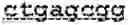 Fig. 43 - Method of using an anti-epidermal growth factor receptor (EGFR) activatable antibody to detect the presence or absence of a cleaving agent and EGFR