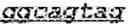 Fig. 58 - Method of using an anti-epidermal growth factor receptor (EGFR) activatable antibody to detect the presence or absence of a cleaving agent and EGFR