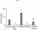Fig. 02 - Methods for generating hematopoietic stem cells