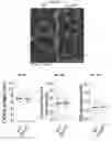 Fig. 09 - miRNAS FOR REDUCING VENTRICLE ENLARGEMENT