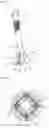 Fig. 03 - TELESCOPED AMMUNITION COMPRISING A SUB-CALIBRE PROJECTILE STABILIZED BY A DEPLOYABLE TAIL FIN