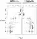Fig. 06 - Gene Expression Inflammatory Age and Its Uses