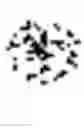 Fig. 02 - Diffusion-weighted magnetic resonance imaging