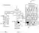 Fig. 05 - Fast operating system configuration option space exploration via cross-OS grafting