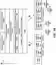 Fig. 08 - Methods and systems for codec detection in video streams