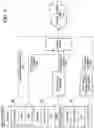 Fig. 12 - Methods and systems for codec detection in video streams
