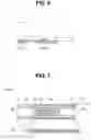 Fig. 06 - Endoscope, distal end portion of endoscope, and insertion portion of endoscope