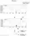 Fig. 09 - METHOD AND SYSTEM FOR ESTIMATING ARTERIAL BLOOD BASED ON DEEP LEARNING