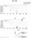 Fig. 10 - METHOD AND SYSTEM FOR ESTIMATING ARTERIAL BLOOD BASED ON DEEP LEARNING