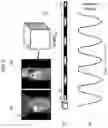 Fig. 03 - Methods and systems for retrospective internal gating