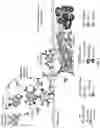 Fig. 02 - DOSING AND EFFECT OF C5a ANTAGONIST WITH ANCA-ASSOCIATED VASCULITIS