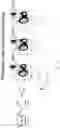 Fig. 22 - Methods and composition for gene delivery using an engineered viral particle