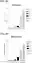 Fig. 10 - METHODS FOR LOWERING BLOOD GLUCOSE
